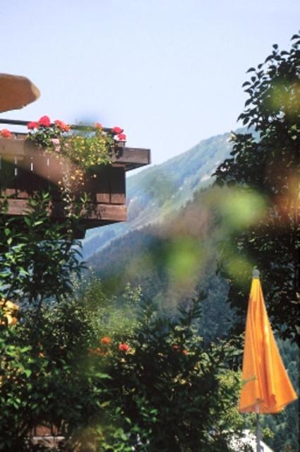 Hotel Adler Garni Hirschegg  外观 照片